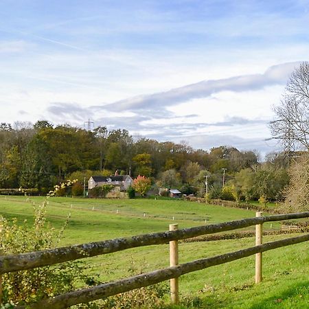 Marshalls Farm Aston Ingham Exterior foto